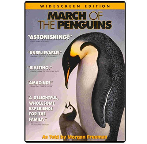 March of the Penguins - 2589