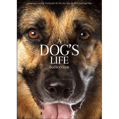 A Dog's Life Collection