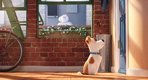 The Secret Life of Pets [DVD] - 4809