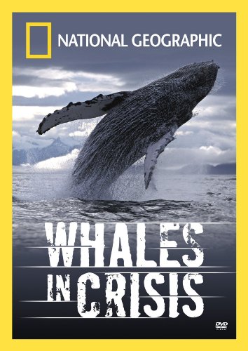 National Geographic - Whales in Crisis - 1428