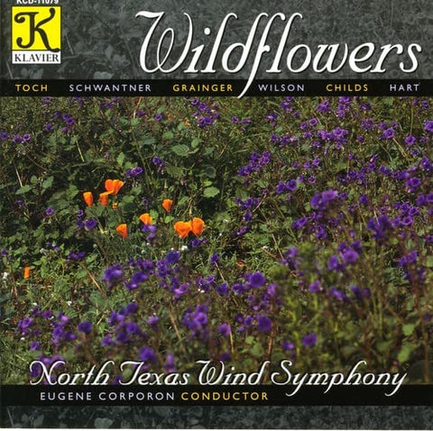 Wildflowers - 8569