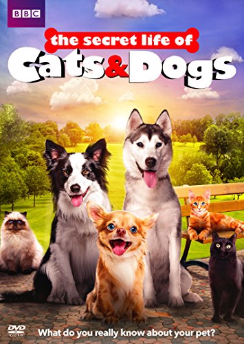 Secret Life of Cats and Dogs - 207