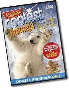 Alaska's Coolest Animals and The Biggest Bears