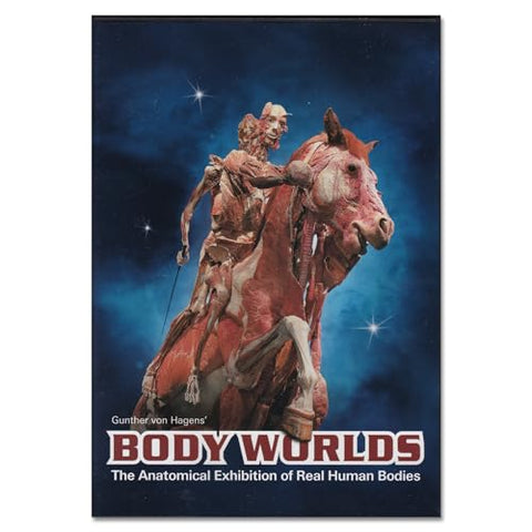 Body Worlds The Anatomical Exhibition of Real Human Bodies - DVD - 9202