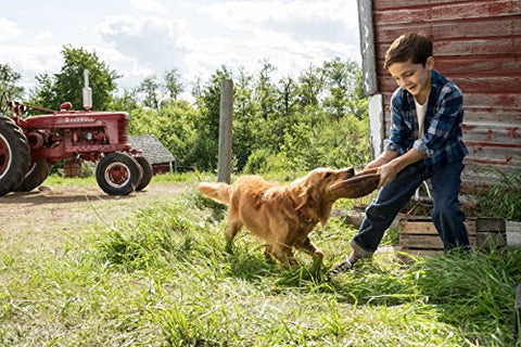 A Dog's Purpose [DVD] - 8519