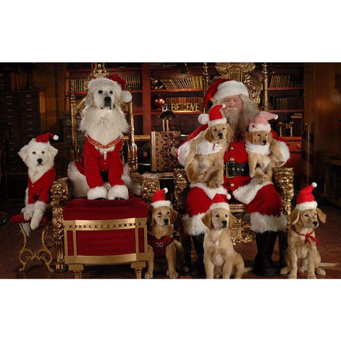 Santa Buddies: The Legend Of Santa Paws - 8292