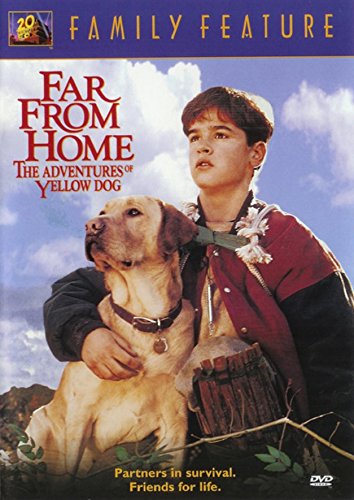 Family Feature: Far From Home The Adventures of Yellos Dog - 7093