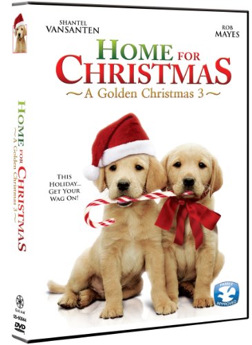 Home For Christmas: A Golden Christmas 3 - 8381