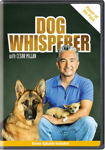 Dog Whisperer with Cesar Millan: Power of the Pack - 3820