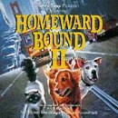 Homeward Bound 2 - 8963