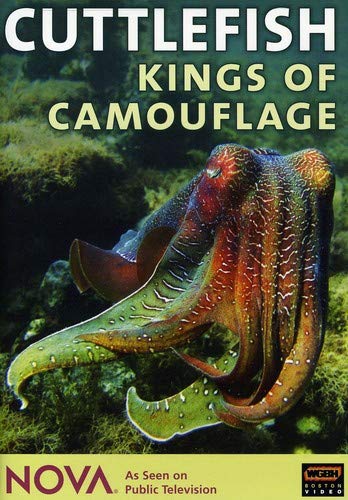 NOVA: Cuttlefish - Kings of Camouflage - 9391