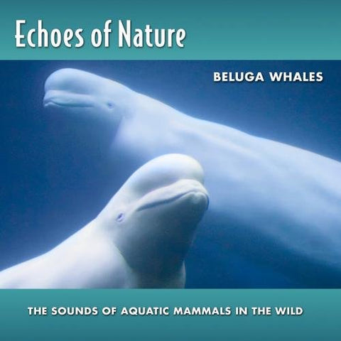 Beluga Whales: Echoes of Nature 12