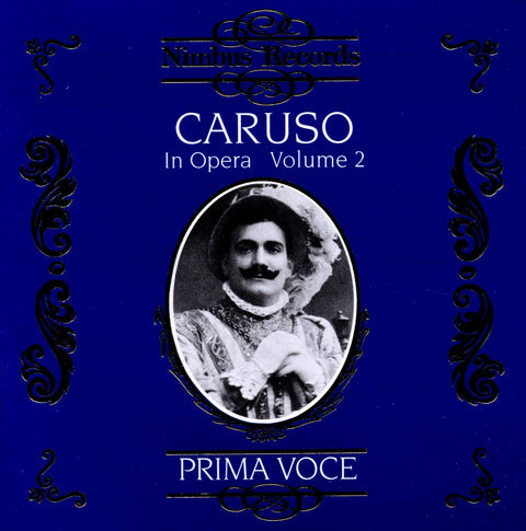 Enrico Caruso in Opera 2 - 941